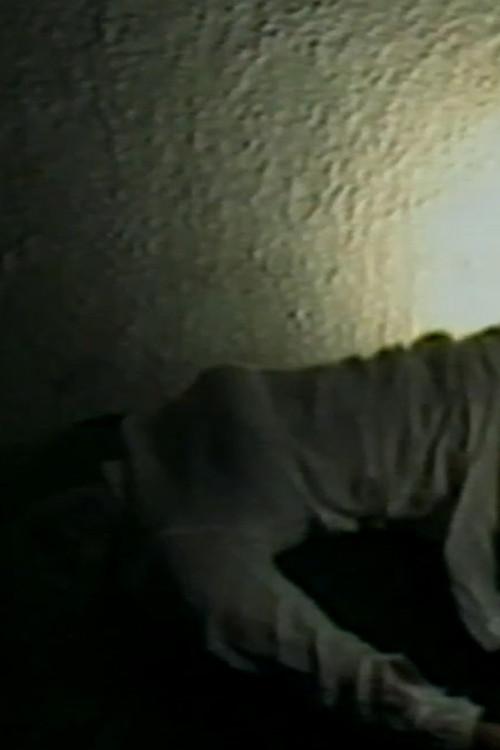L'ora dell'inconscio 1985 official movie poster