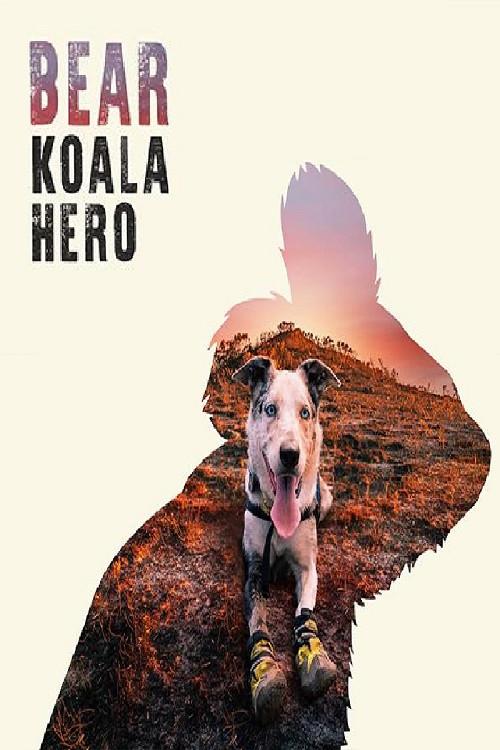 Bear: Koala Hero 2020 official movie poster