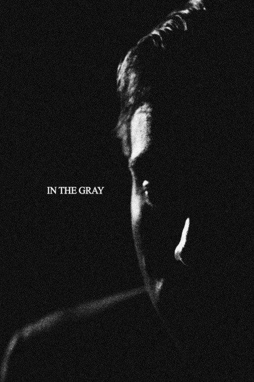 In the Gray 2025 official movie poster