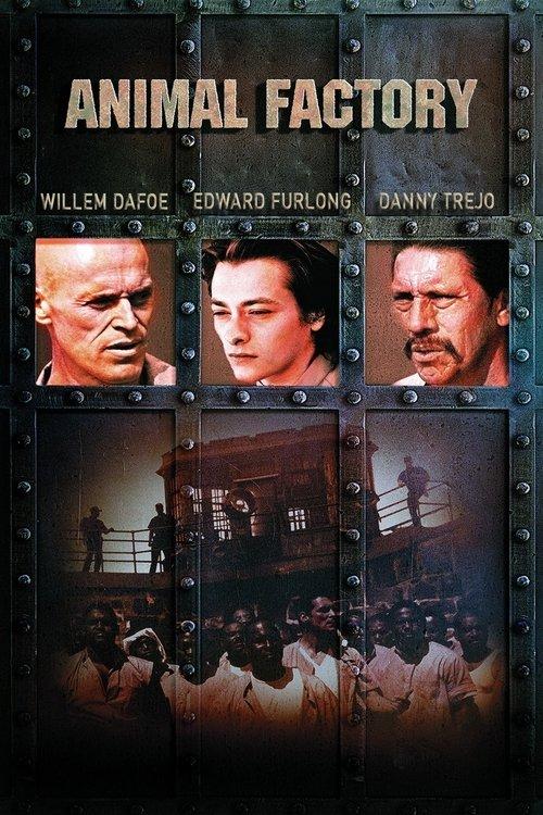 Animal Factory 2000 official movie poster