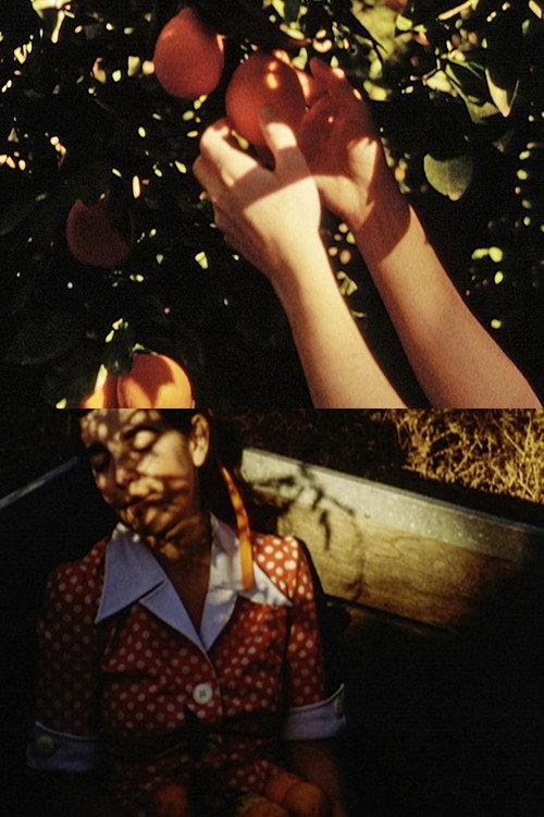 Picking Oranges 2012 official movie poster