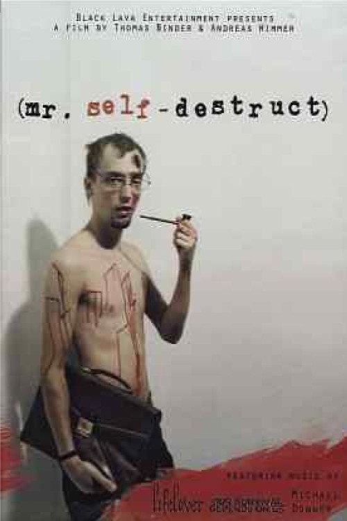 Mr. Self-Destruct 2009 official movie poster