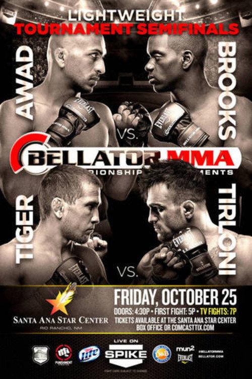 Bellator 105 2013 official movie poster