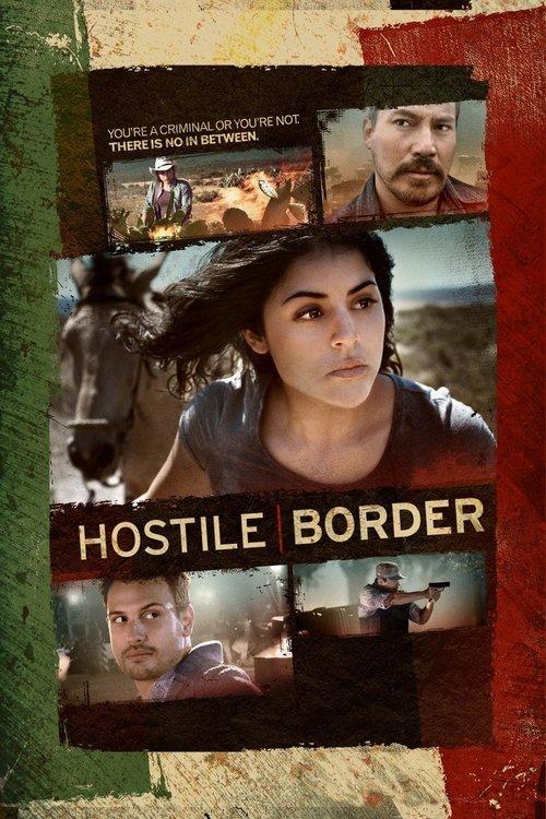 Hostile Border 2015 official movie poster