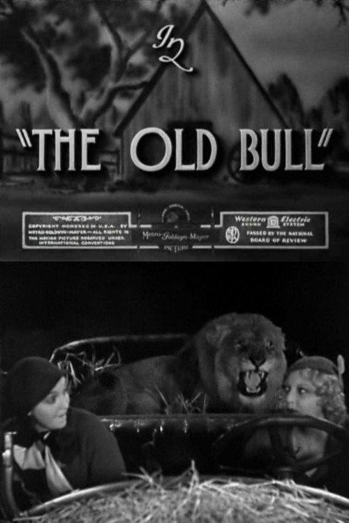 The Old Bull 1932 official movie poster