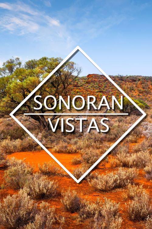 Sonoran Vistas 2022 official movie poster
