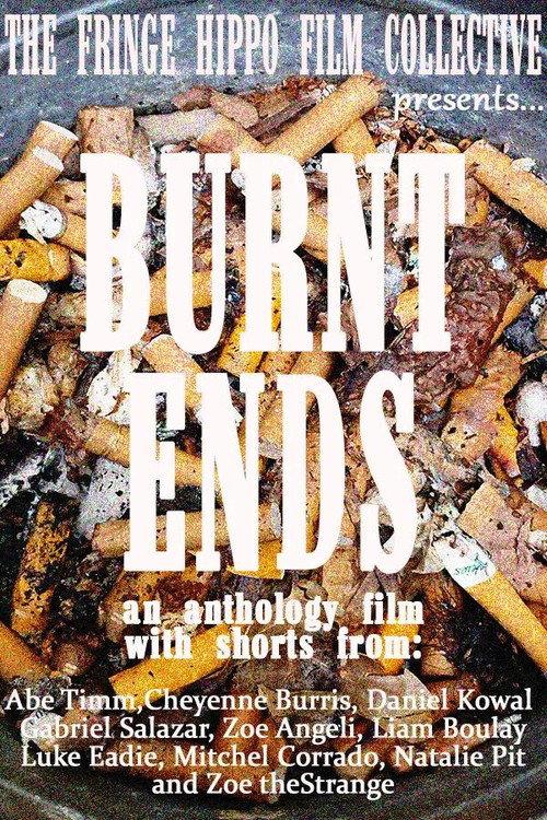 Burnt Ends 2026 official movie poster