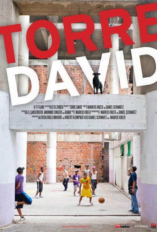 Torre David 2013 official movie poster