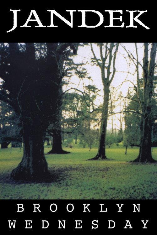 Jandek: Brooklyn Wednesday 2008 official movie poster