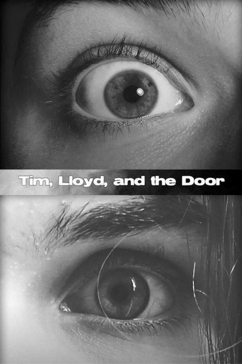 Tim, Lloyd, and the Door 2020 official movie poster