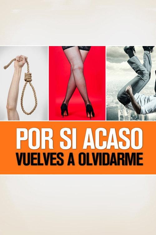 In Case You Forget About Me Again 2013 official movie poster