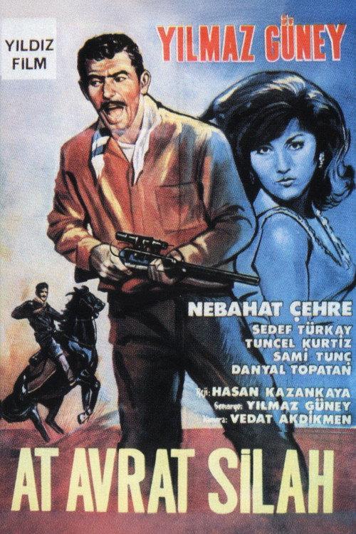 Horse, Woman and Gun 1966 official movie poster