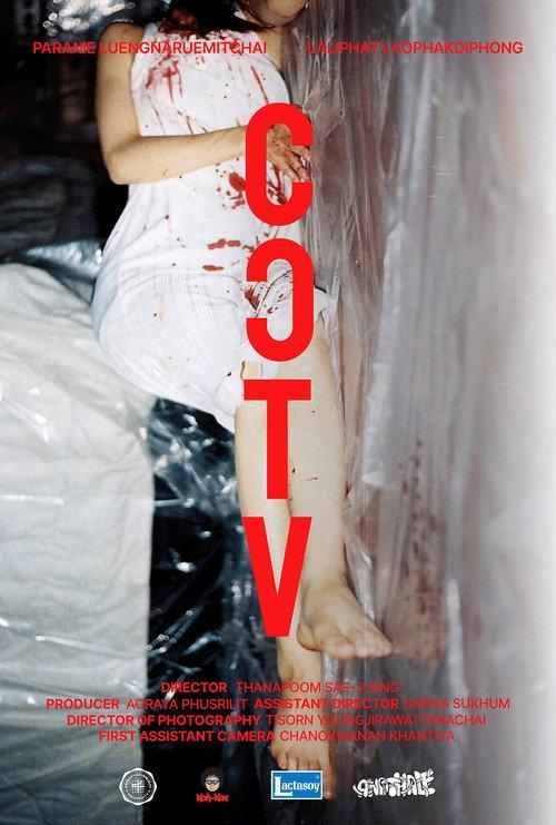 CCTV 2025 official movie poster