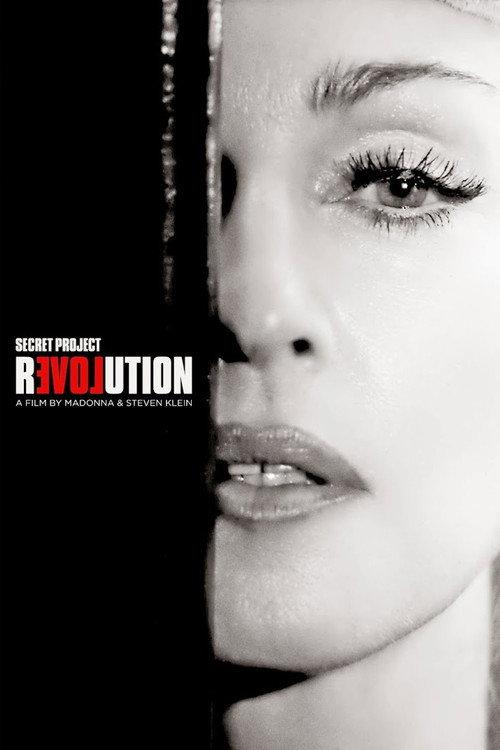 Secret Project Revolution 2013 official movie poster