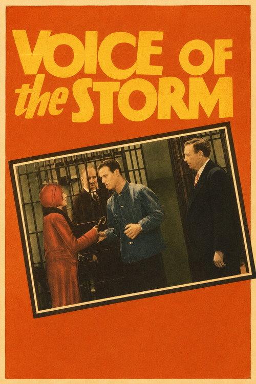 The Voice of the Storm 1929 official movie poster