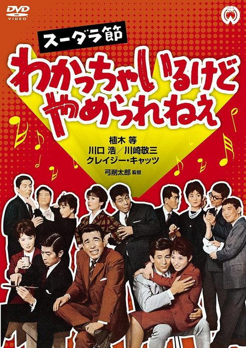 Sudara Festival: I Understand, but I can't Stop 1962 official movie poster