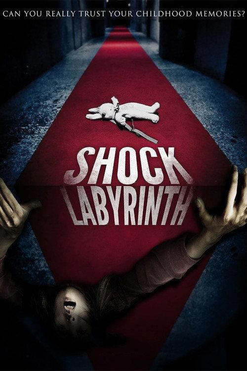 The Shock Labyrinth 2009 official movie poster