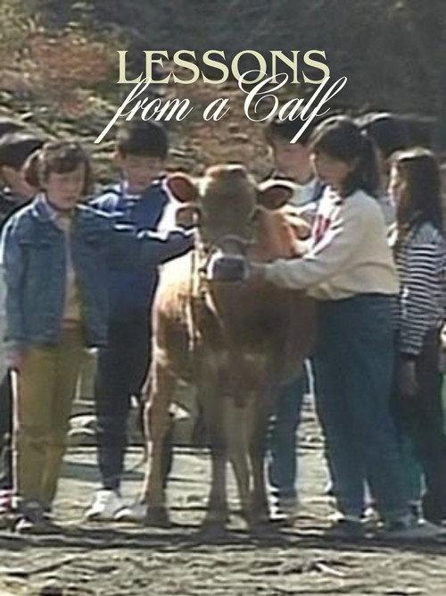 Lessons from a Calf 1991 official movie poster