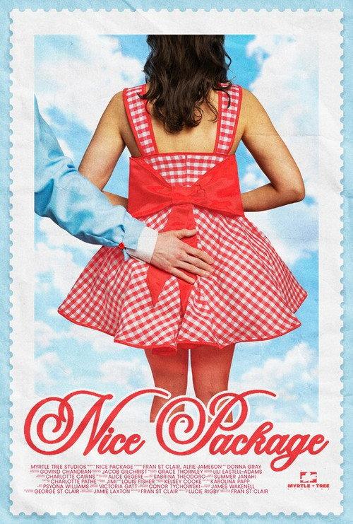 Nice Package 2025 official movie poster