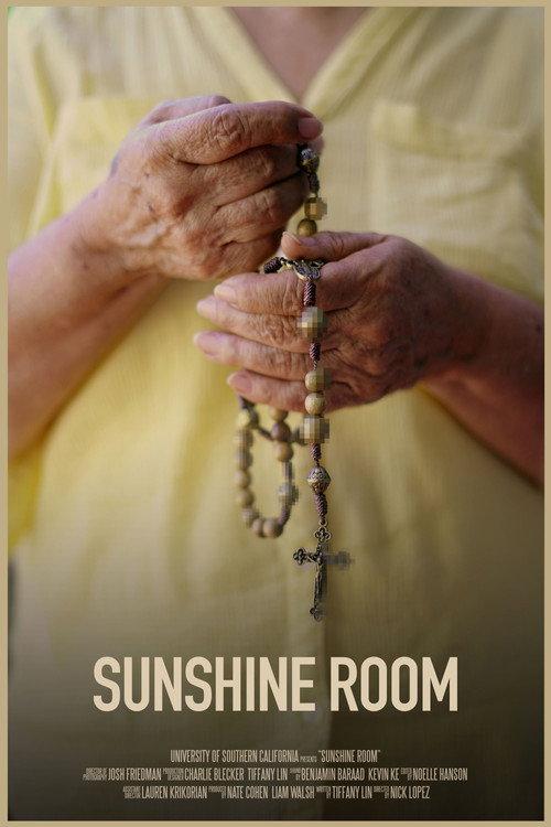 Sunshine Room 2020 official movie poster