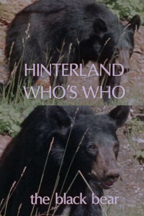 Hinterland Who's Who: Black Bear 1978 official movie poster