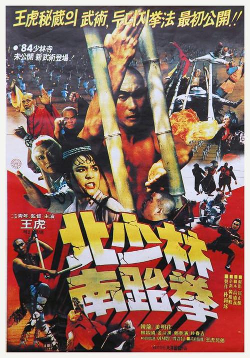 North Shaolin South Taekwon 1984 official movie poster