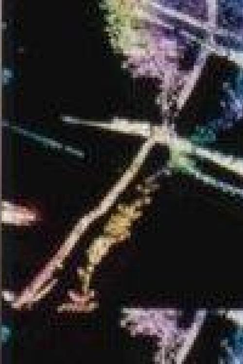Cricket Requiem 1999 official movie poster