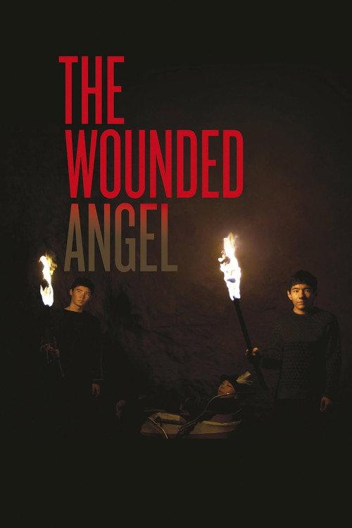 The Wounded Angel 2016 official movie poster