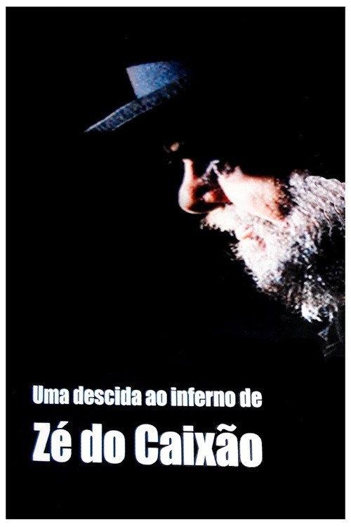 A Descent Into Coffin Joe's Hell 2010 official movie poster