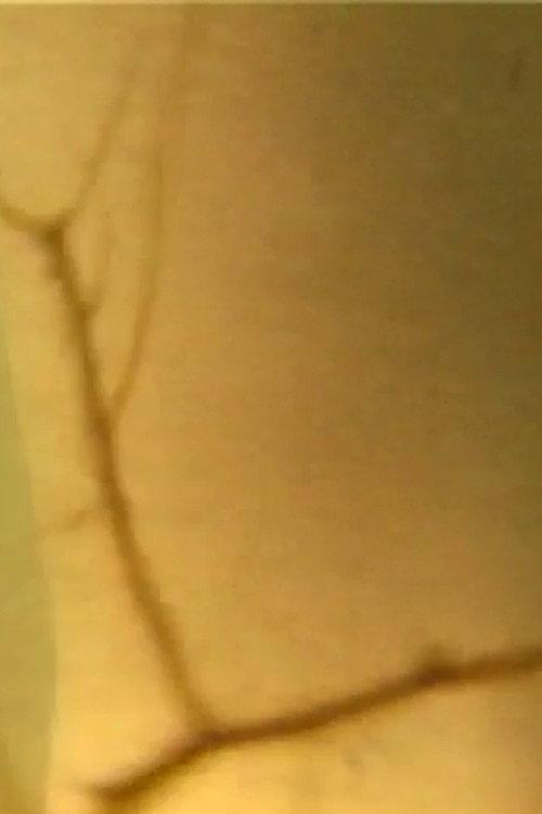 Blindsweet 2003 official movie poster