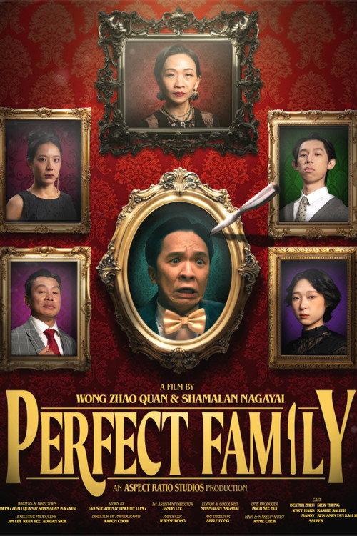 Perfect Family 2025 official movie poster