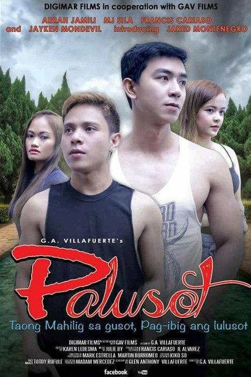 Palusot 2017 official movie poster