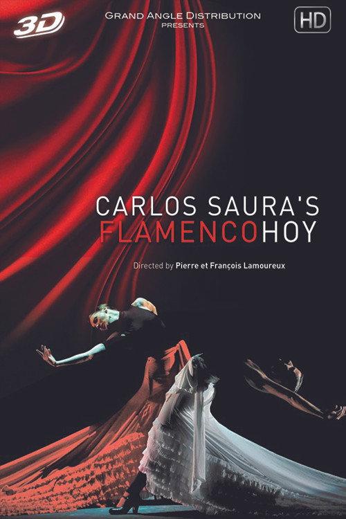 Flamenco Hoy de Carlos Saura 2011 official movie poster