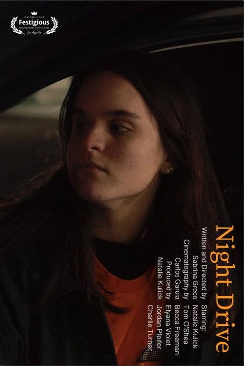 Night Drive 2020 official movie poster