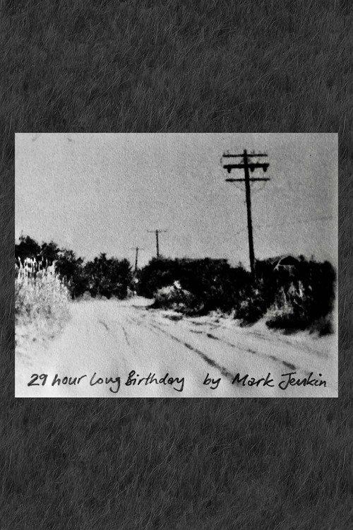 29 Hour Long Birthday 2022 official movie poster