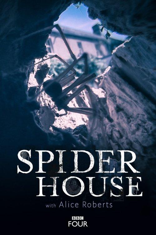 Spider House 2014 official movie poster
