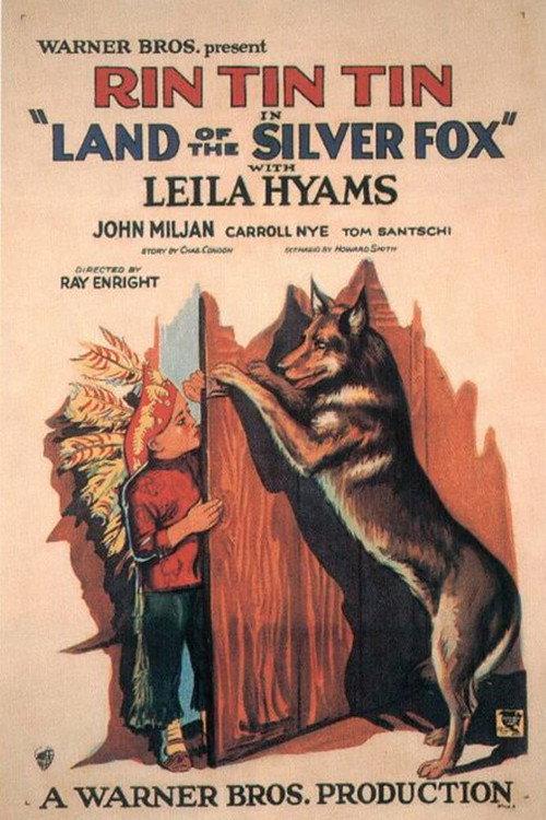 Land of the Silver Fox 1928 official movie poster