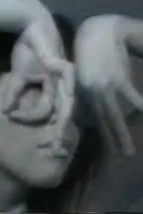 Iris 1979 official movie poster