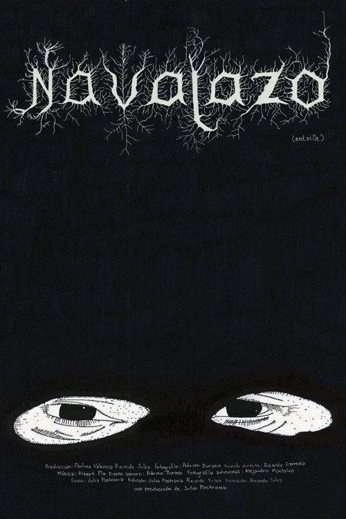 Navajazo 2014 official movie poster