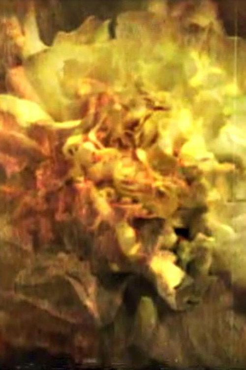 And the Sun Flowers 2008 official movie poster