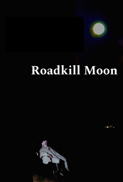 Roadkill Moon official movie poster