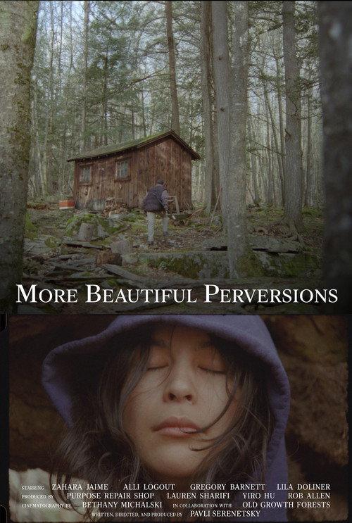 More Beautiful Perversions 2026 official movie poster