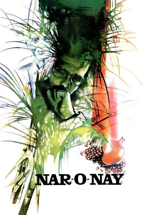 Pomegranate and Cane 1989 official movie poster
