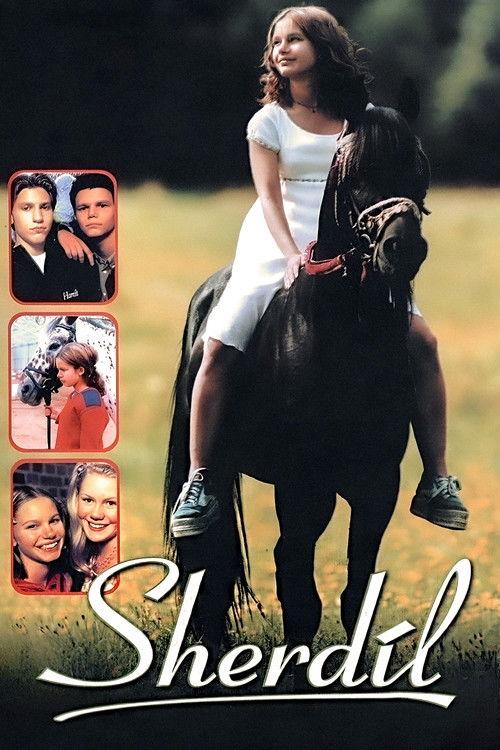 Sherdil 1999 official movie poster
