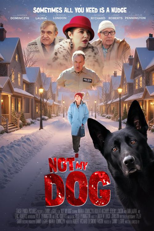 Not My Dog 2026 official movie poster