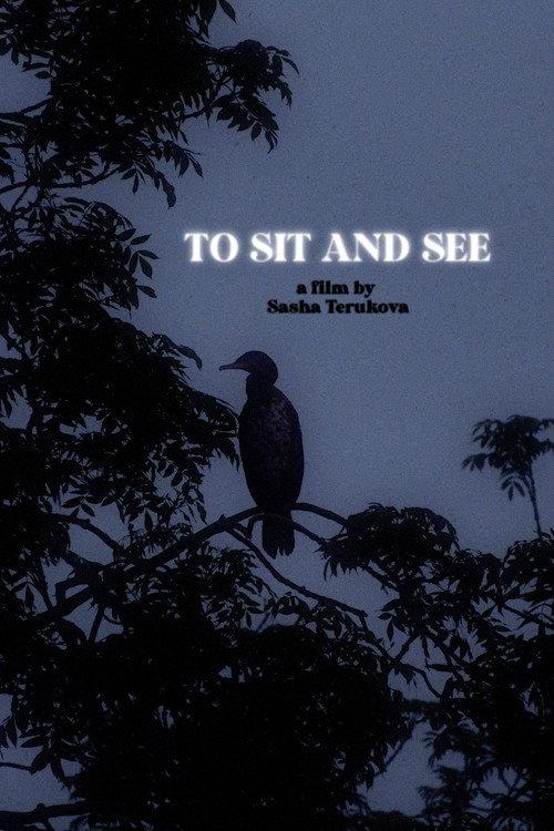 To Sit and See  official movie poster