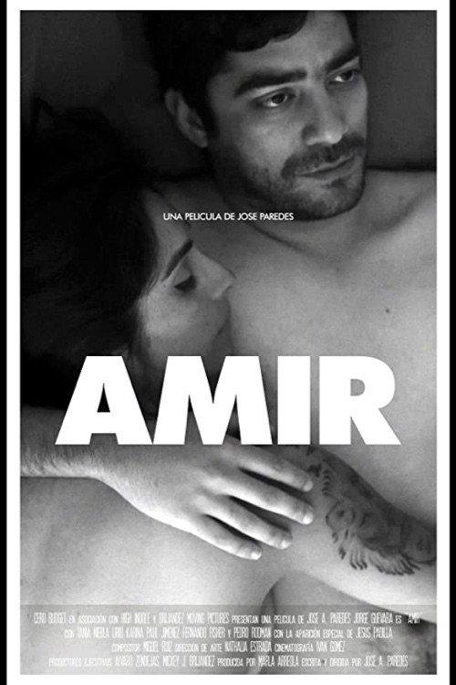 Amir 2016 official movie poster