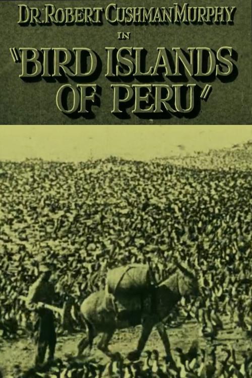 Bird Islands of Peru 1930 official movie poster