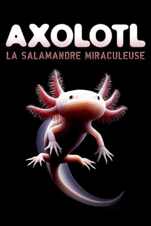 Axolotl, la salamandre miraculeuse 2024 official movie poster