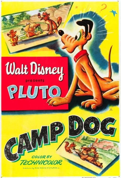 Camp Dog 1950 official movie poster